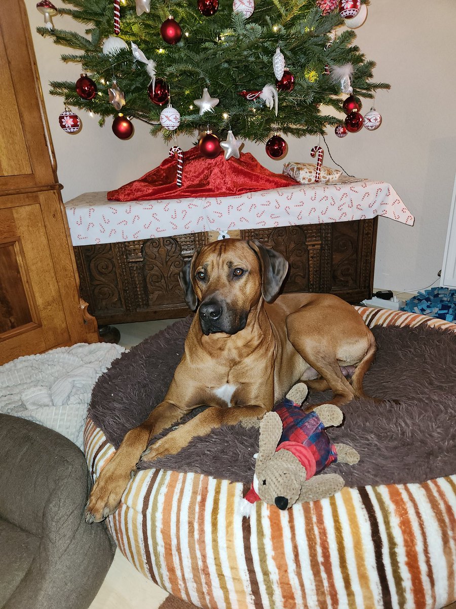 Böllern ist für Idioten. 
Sage ich und mein feiner Freund Clapton. 
Bitte unterschreiben.