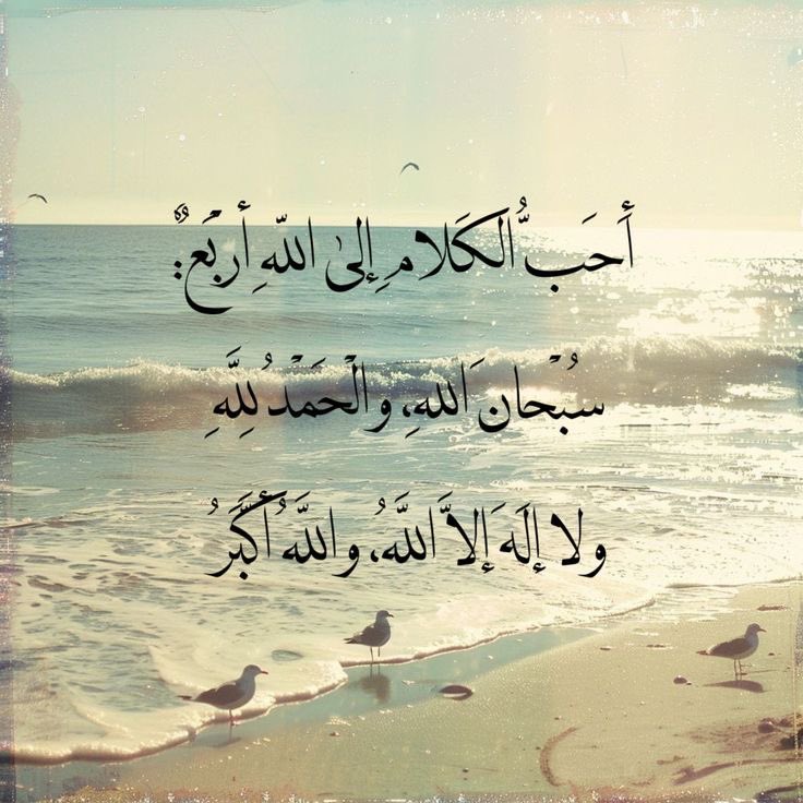 s1121423's tweet image. 