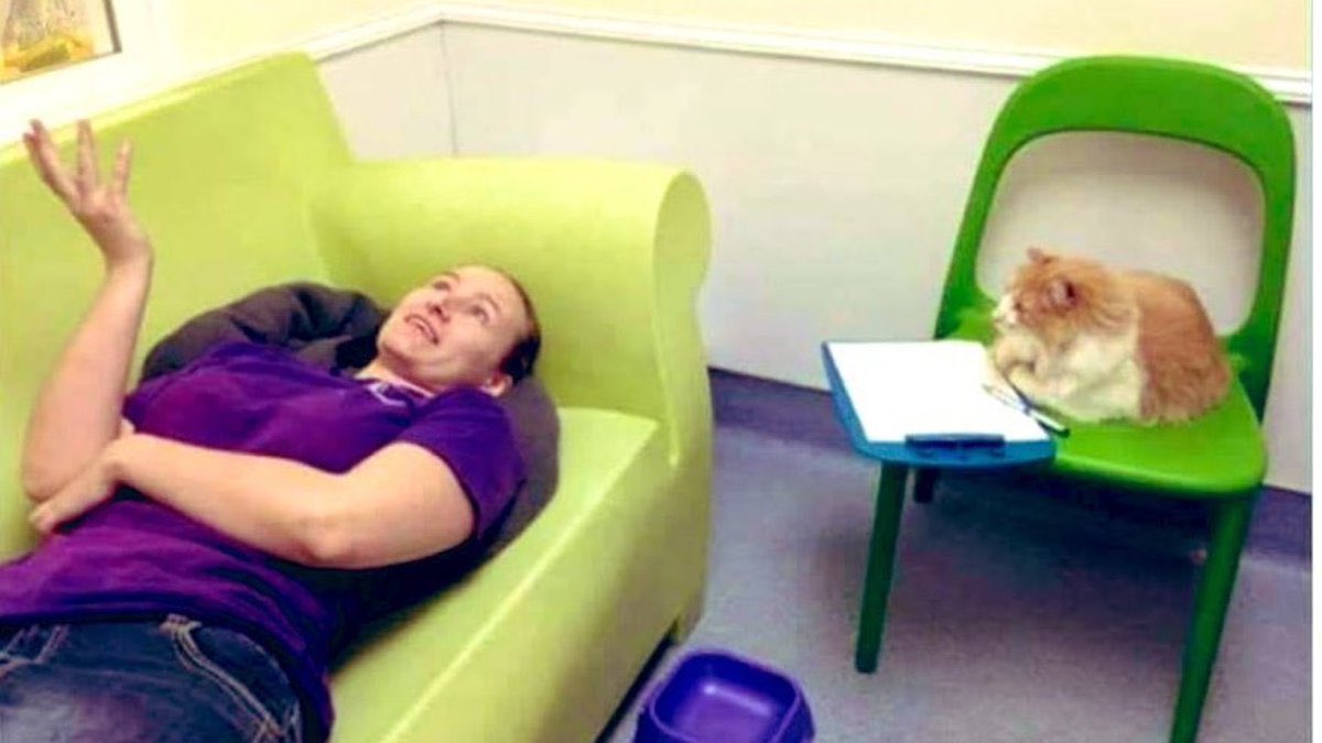 jancysscars's tweet image. and then jonathan and nancy broke up because they understand each other too much