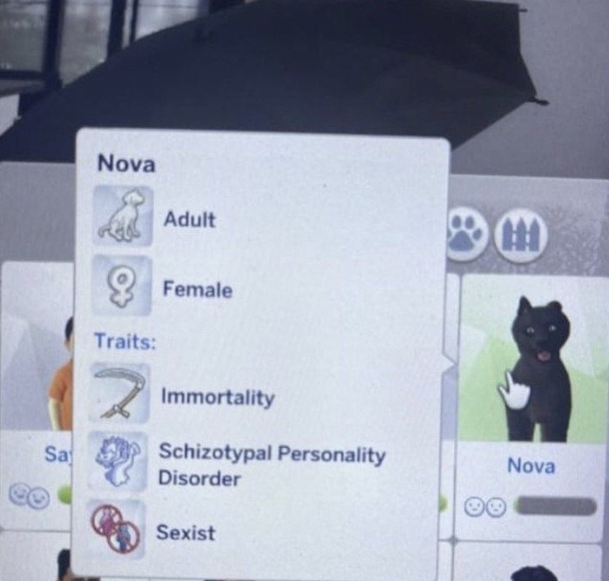 solraiden's tweet image. ashru