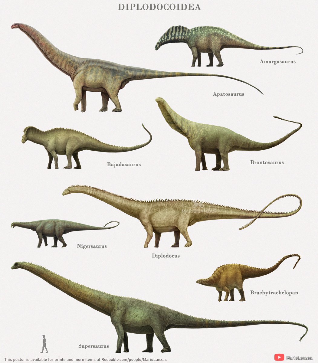 Bull.Falcon (@FalconBull) / Posts / X