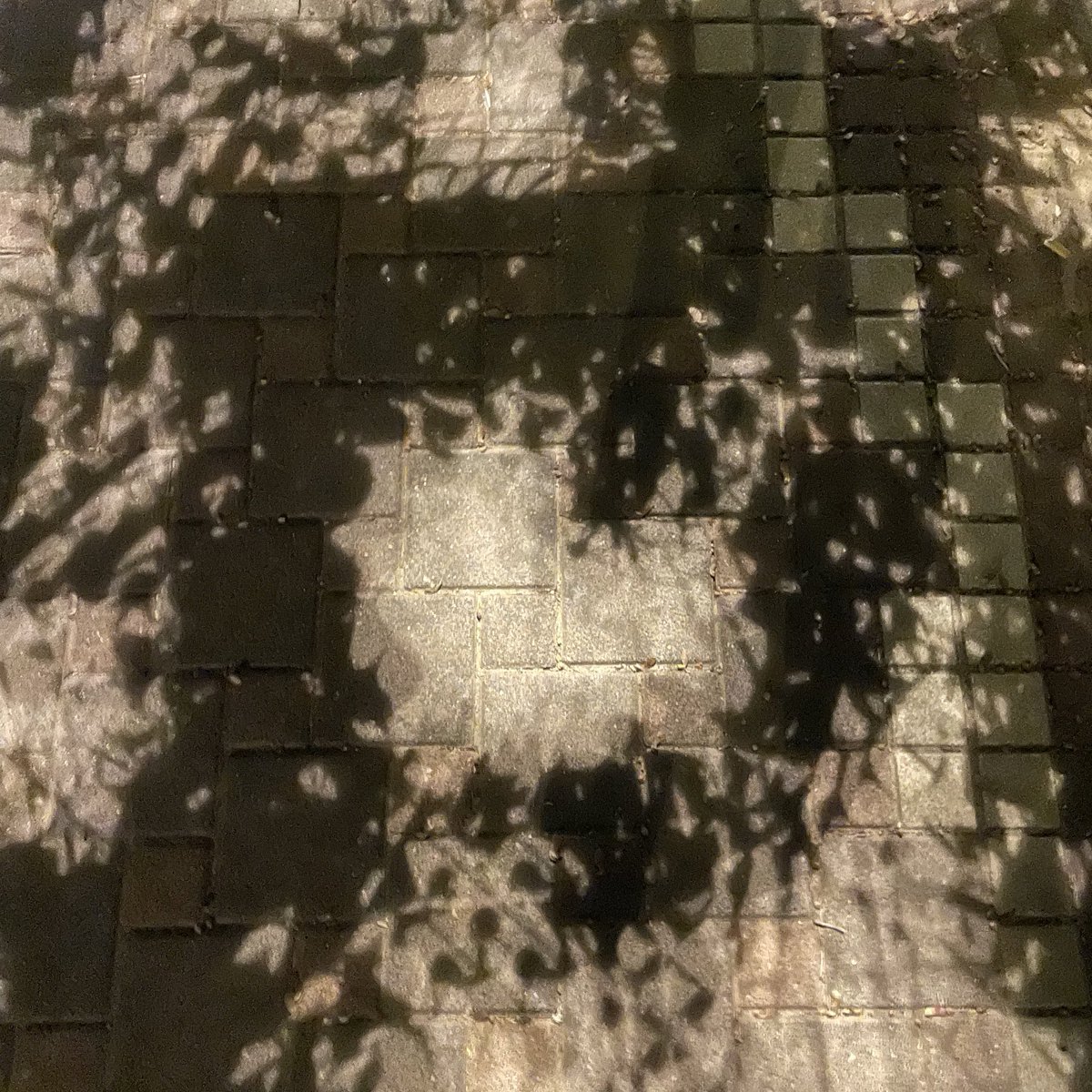 3rdturn's tweet image. shadow making a heart &amp;lt;3