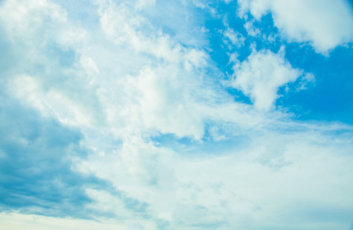 くちなし tweet media