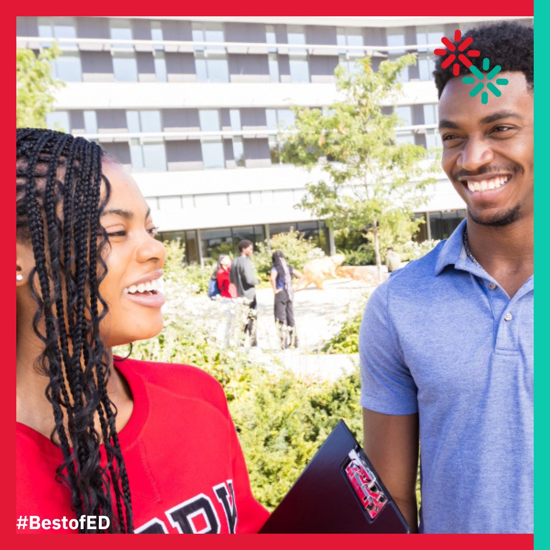York University Education tweet media