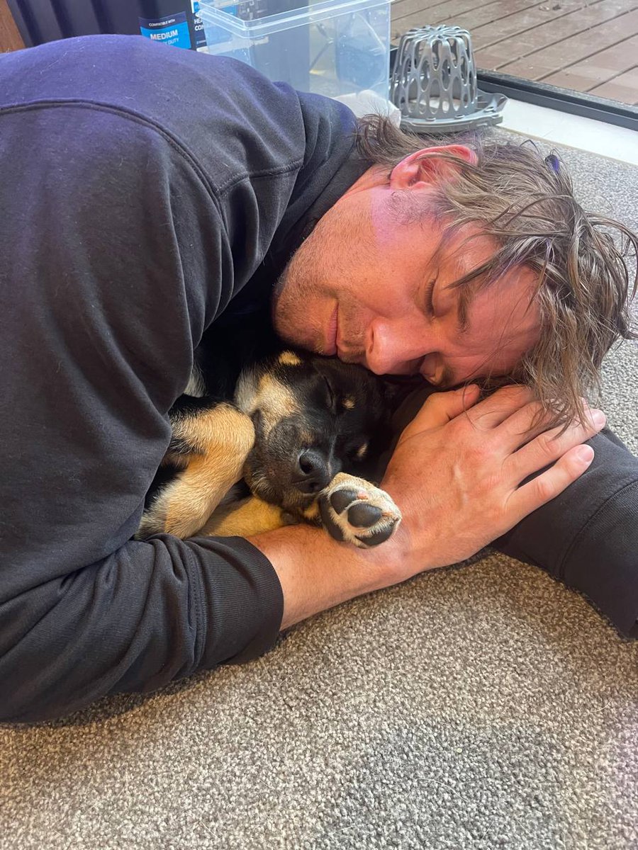 Spending time with Isla, my friend's new rottweiler mix puppy, was definitely one of the highlights of this New Zealand trip!