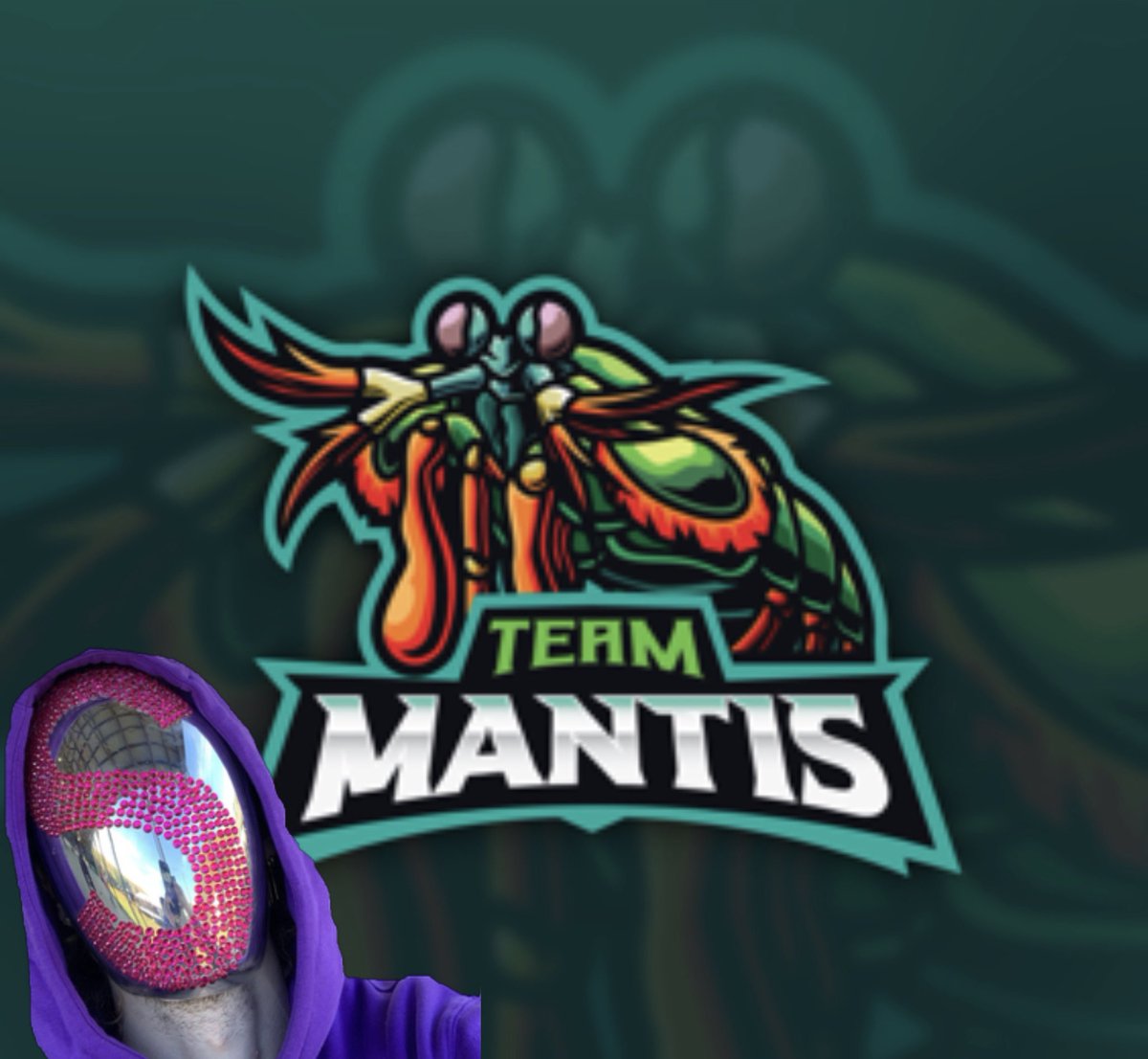 Shrimp(Blader S) tweet media