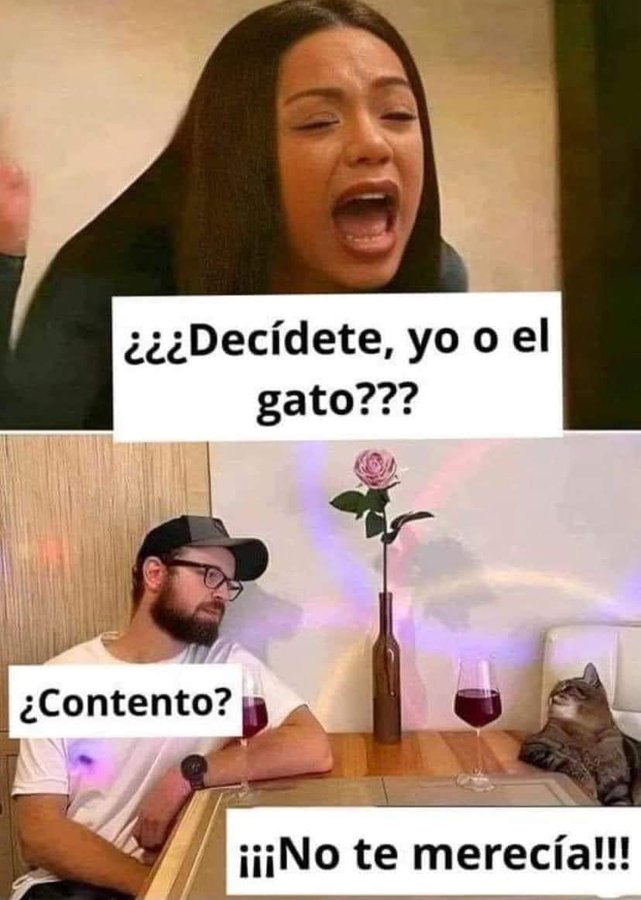 bjs_alejo2's tweet image. 