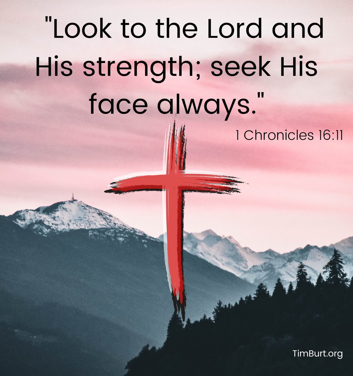 TimBurt's tweet image. 