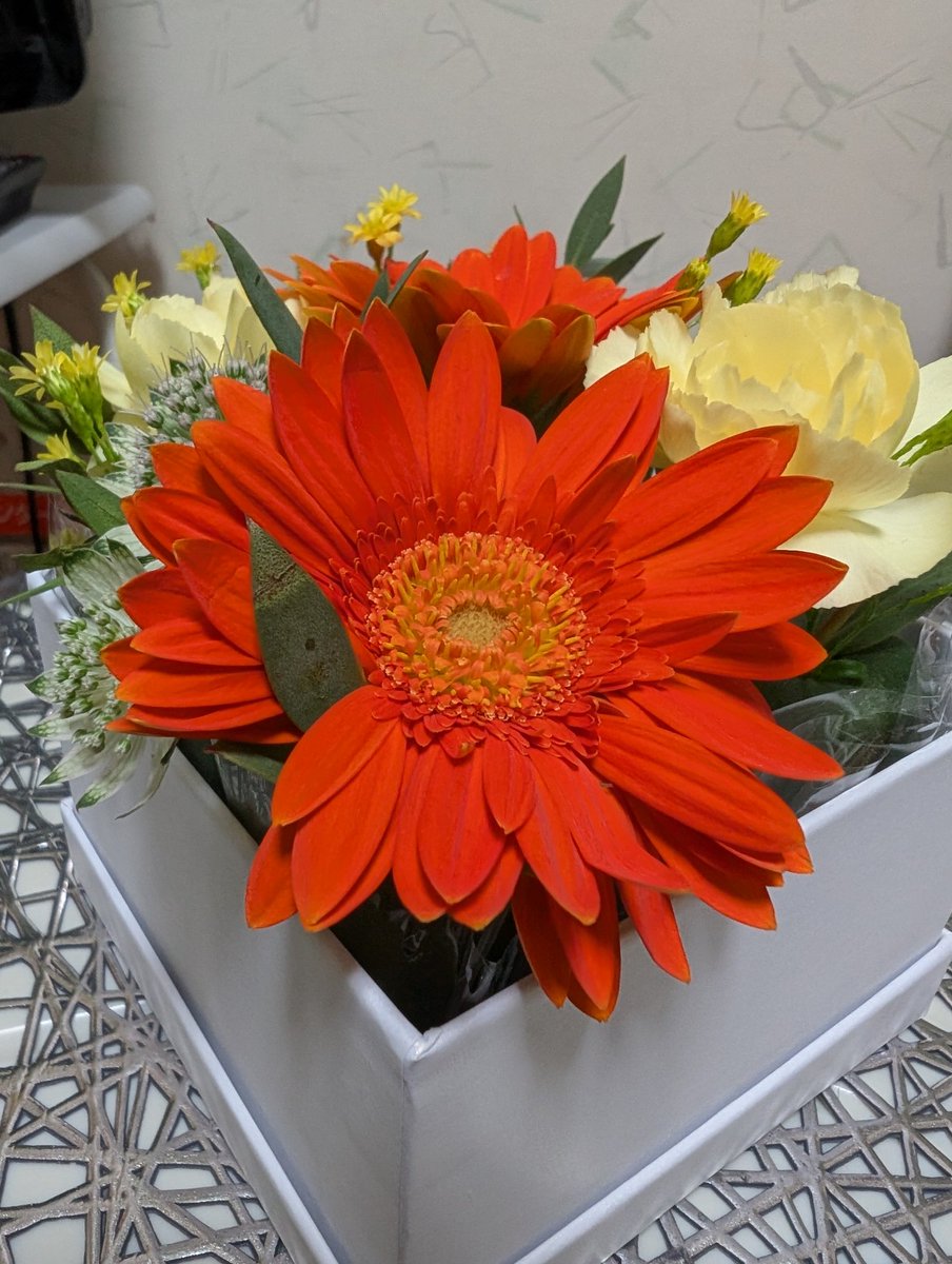 nc☆ (@nc_mercari) / Posts / X