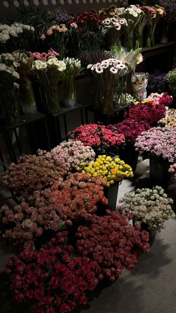 1leio's tweet image. 