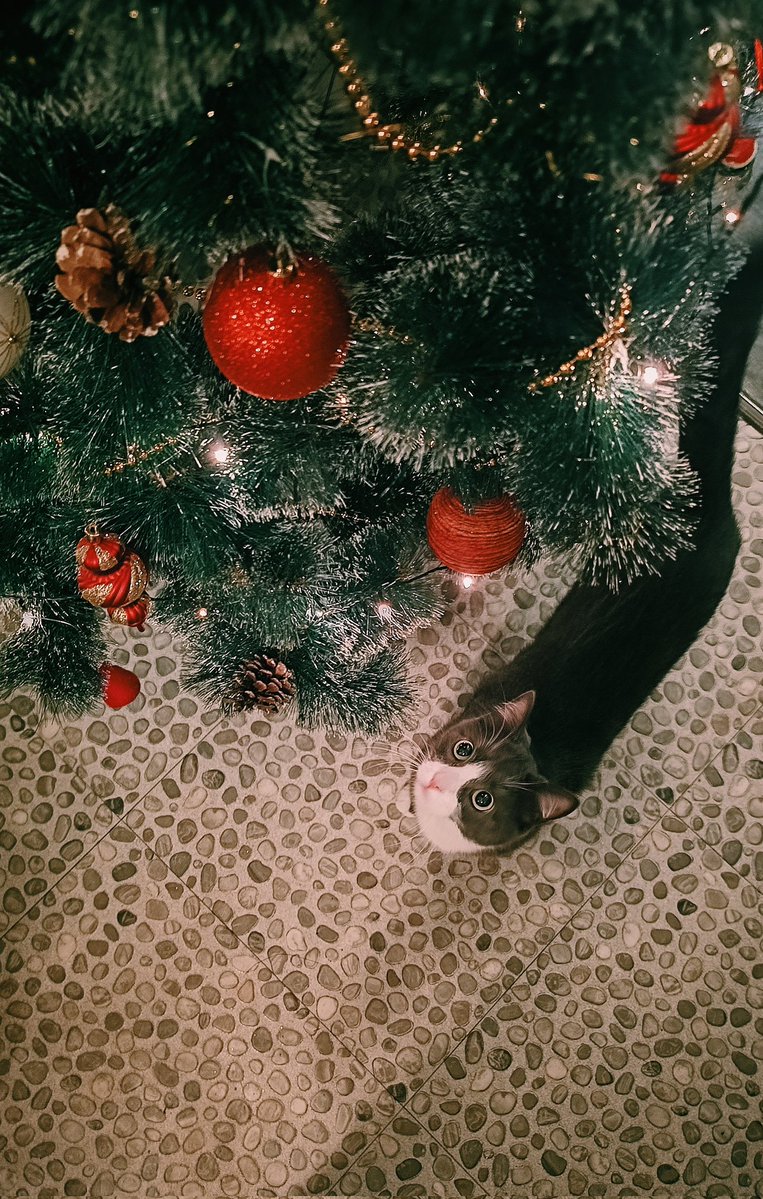 Посмотрим кто кого