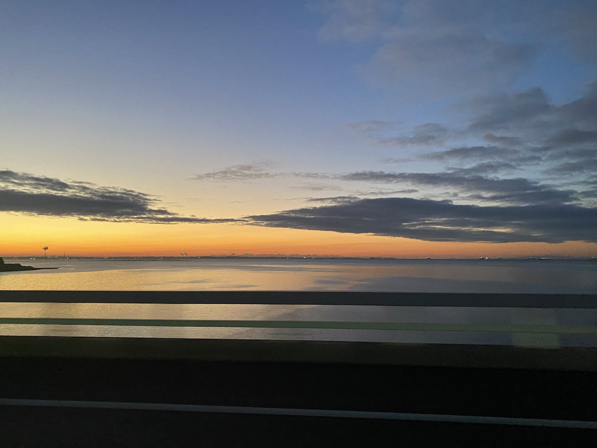 RYU_BSC@牛追い人 tweet media