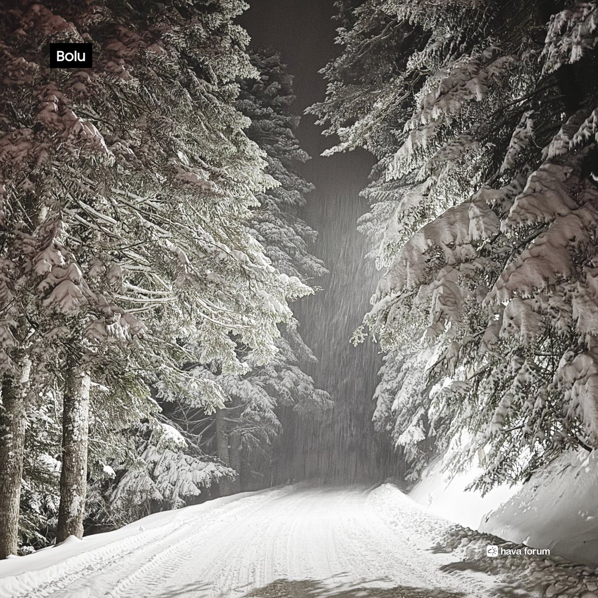 Anlık Bolu Abant 😍