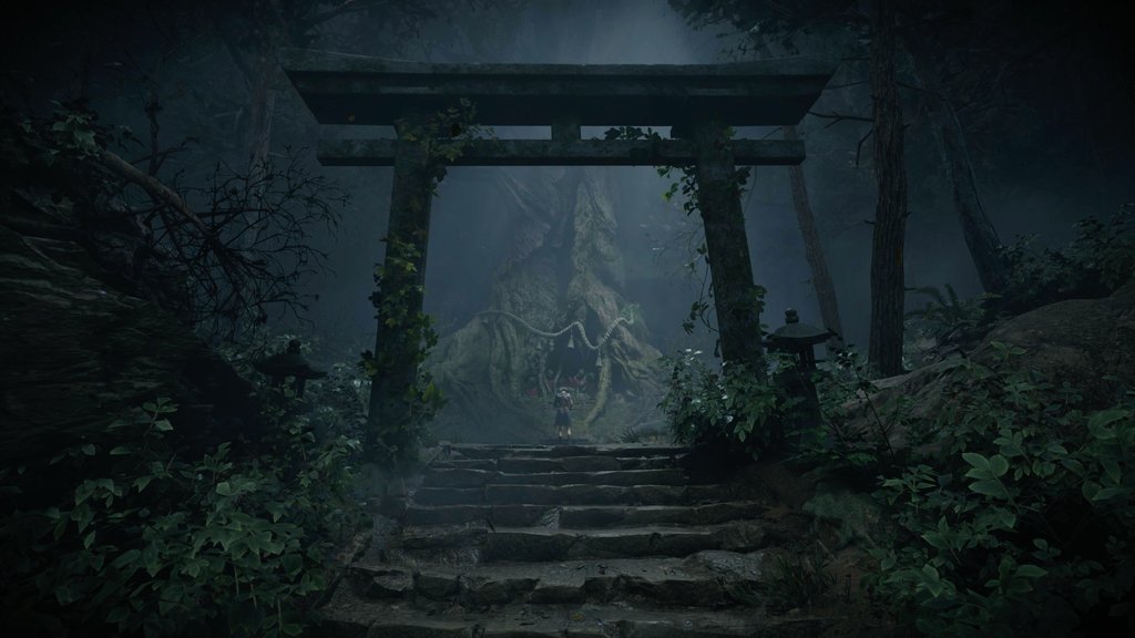 🌿ericskr🌿 tweet media