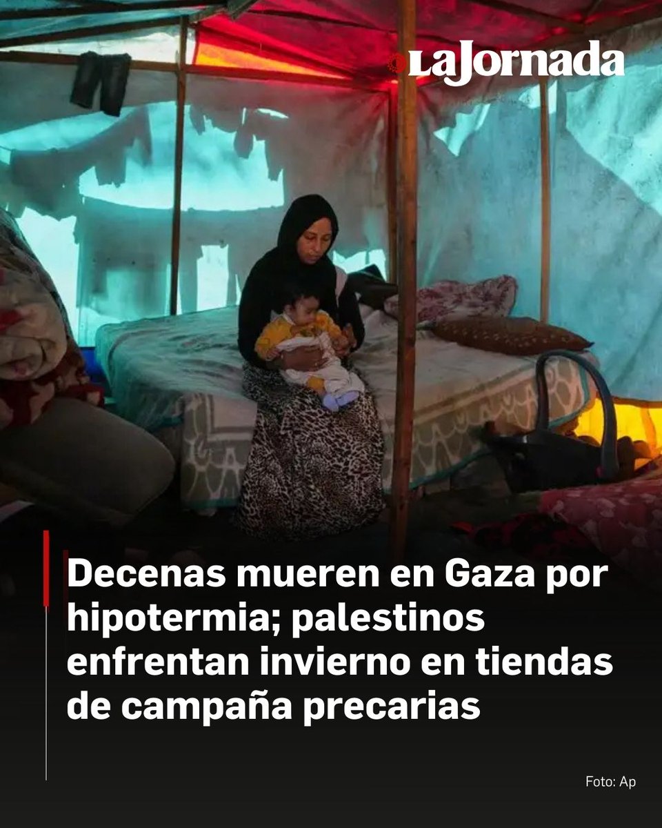 lajornadaonline's tweet image. 🔴 Niños descalzos jugaban en la arena fría mientras miles de personas desplazadas en Gaza preparaban tiendas de campaña desgastadas para otra ronda de lluvias invernales.

El Ministerio de Salud de Gaza, parte del gobierno dirigido por Hamas, ha informado que decenas de…