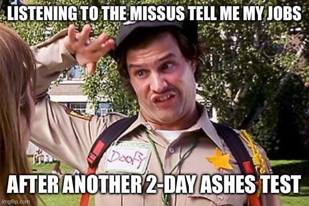 simplm's tweet photo. #AUSvsENG #Ashes #ashes25 https://t.co/U2b9e99mrK