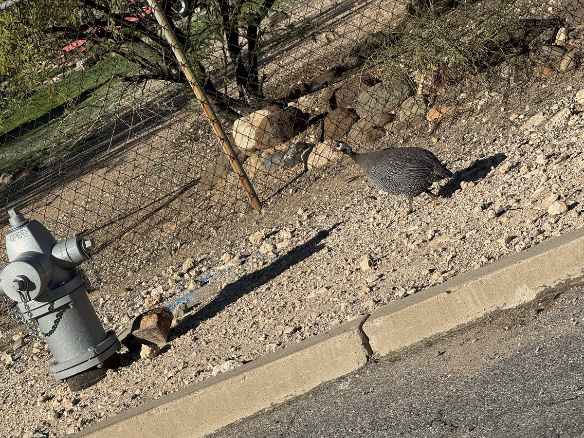 Jeremy Fairchild tweet media