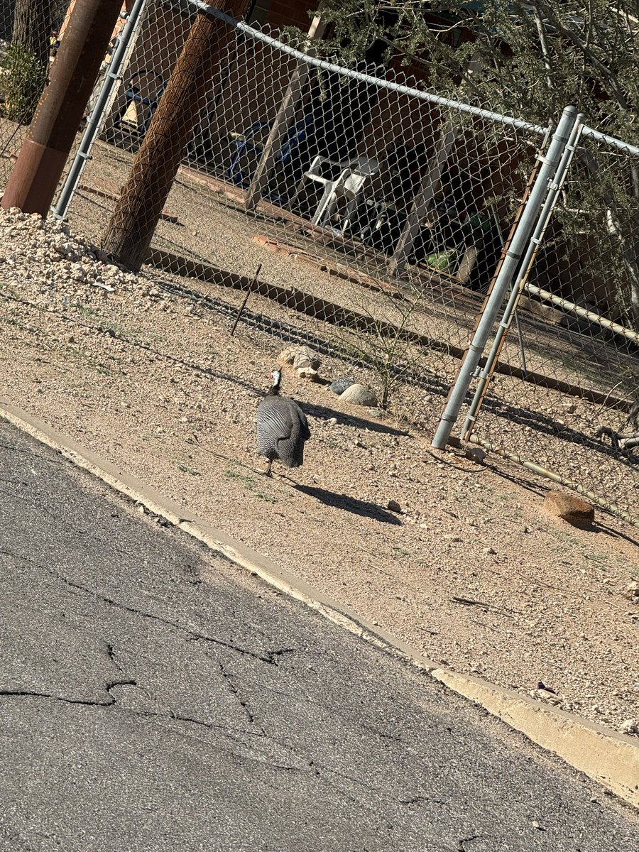 Jeremy Fairchild tweet media