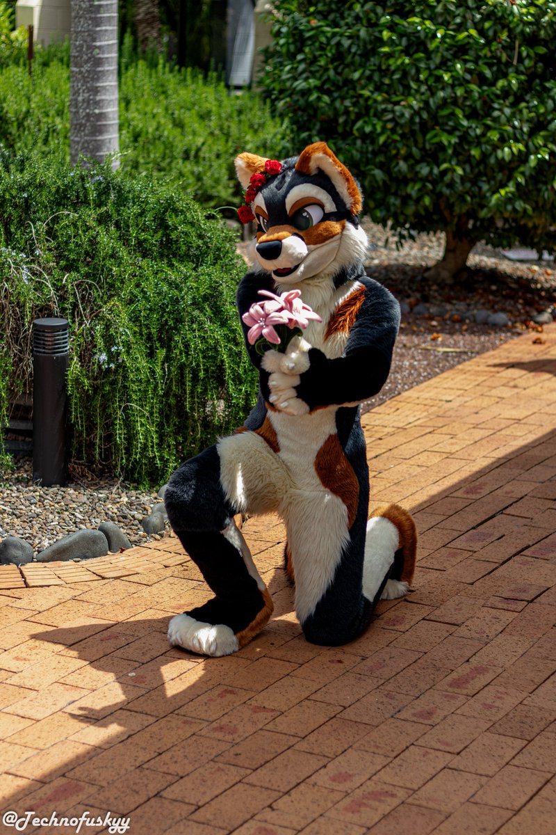 kittlums tweet media