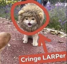 Nasenfahrrad tweet media