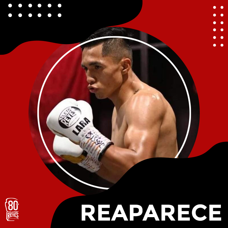 ボクシンググローブ レイジェス(Cleto Reyes) (@CletoReyesJapan