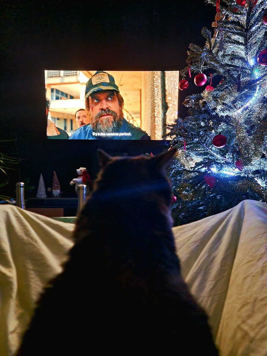 Le Pandaman (@JapanPandaman) / Posts / X, image size:900x1200