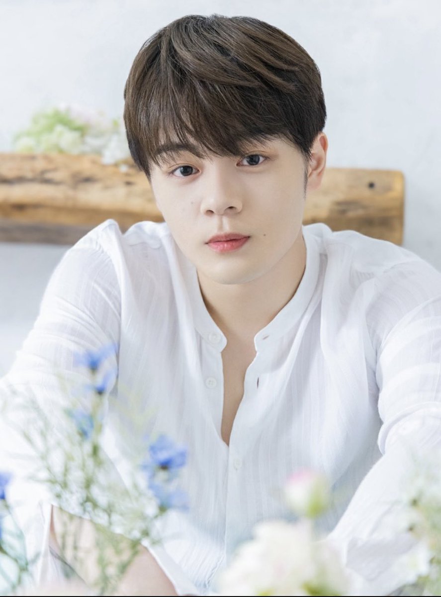 becharm🇺🇸🦊👑✈️🦒🐰 #JO1 🐯🦖 #Dxteen (@becharm) / Posts / X