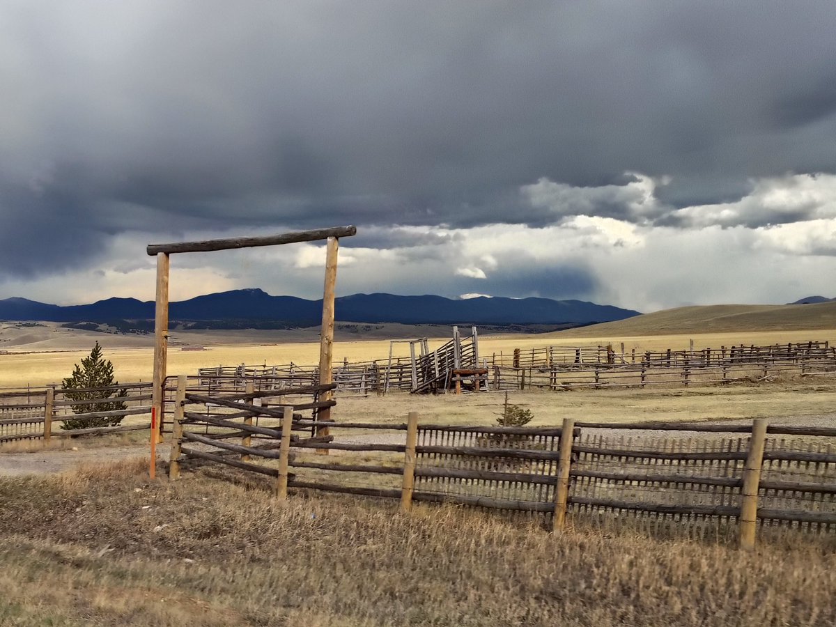 BrutusJudas tweet media