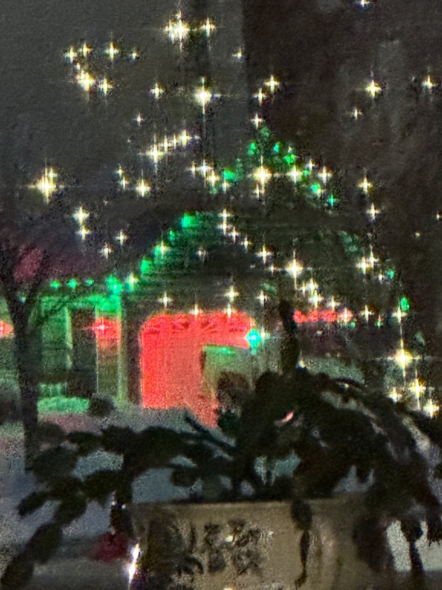 Christmas cactus and neighbors' lights in the snow.
