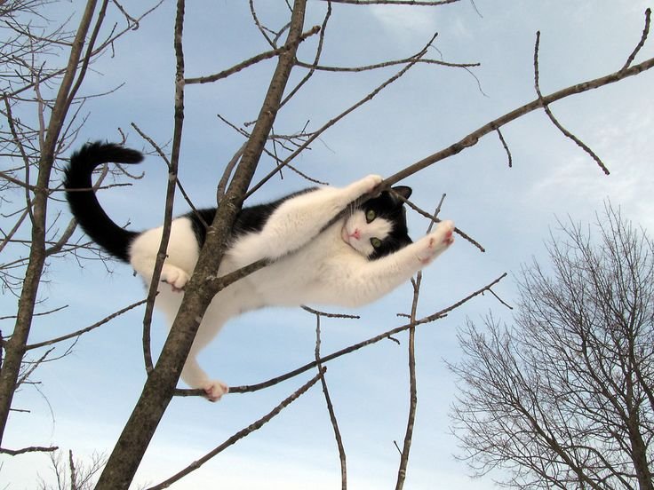 sorrrowfull's tweet image. 