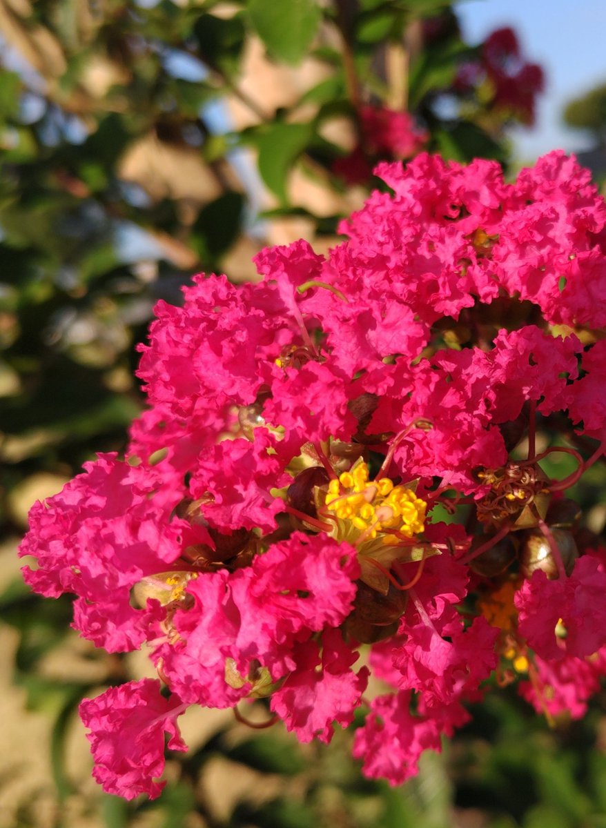 corocoore's tweet image. #今年を写真4枚で振り返る