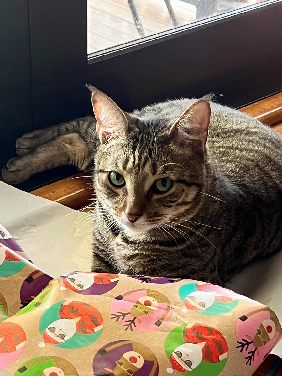 weskrantz's tweet image. good morning