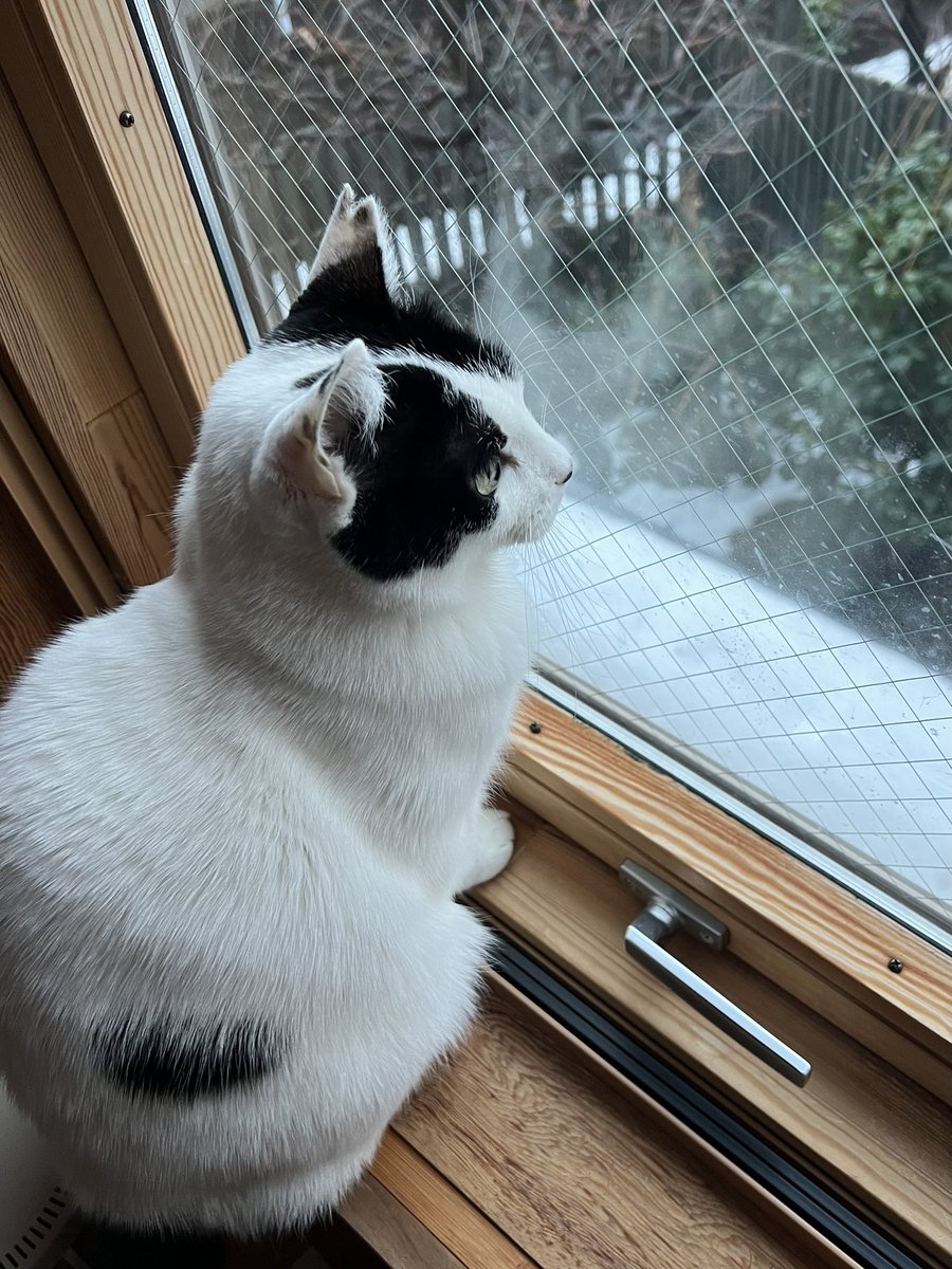 雪が溶けてよかった！