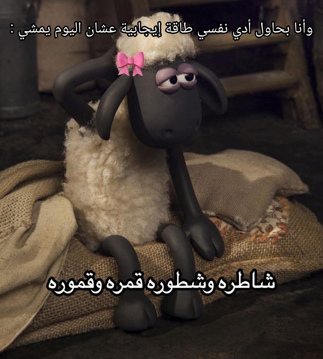 ema (@iemanayman) on Twitter photo 