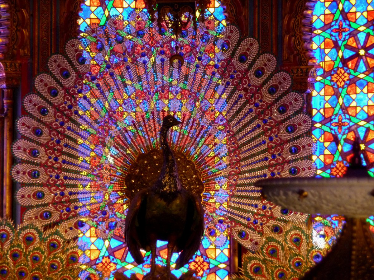 CommonTime_'s tweet photo. India’s national bird is the peacock – and like the peacock, we hope that your holiday and New Year are filled with color, pageantry, creativity, and all things beautiful! Let your hopes and best wishes fly to where your heart wants them to be.

Happy holidays from #CommonTime https://t.co/B81DEhoB6V