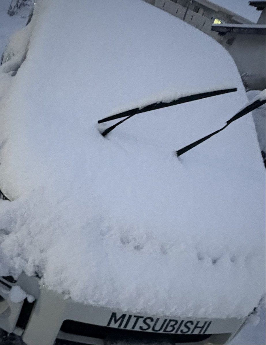 おはようございます✨夜中から降ってた雪も結構積もってましたよね