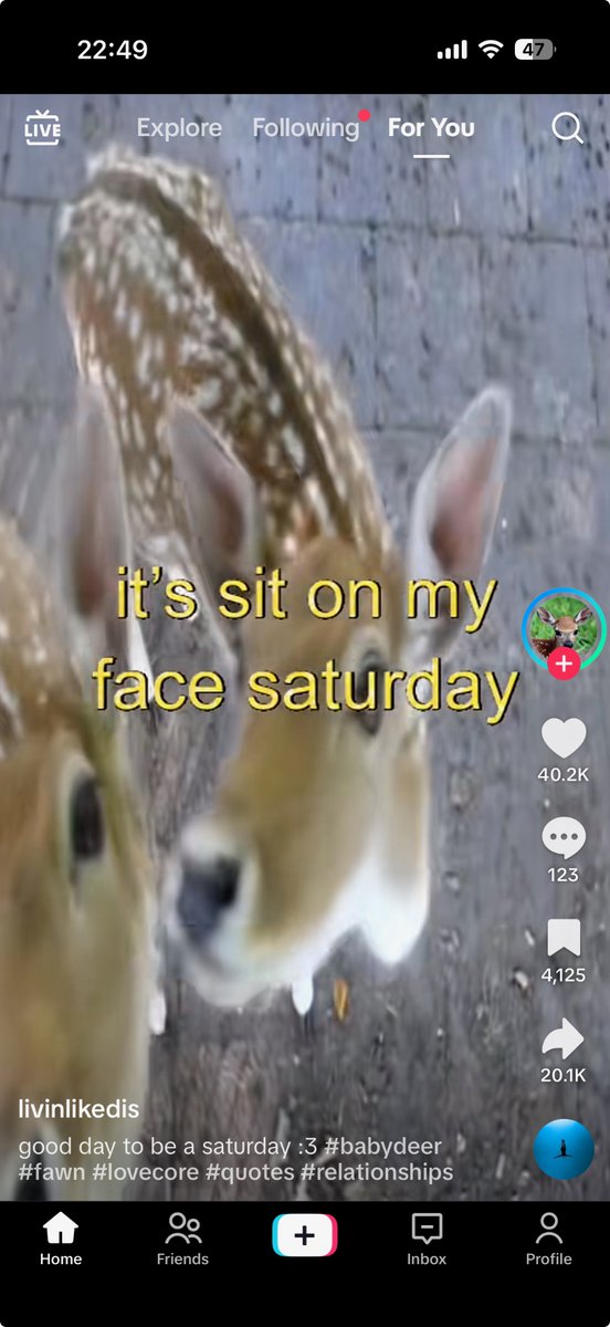 Sexyy Fat (@pragueboi) on Twitter photo 