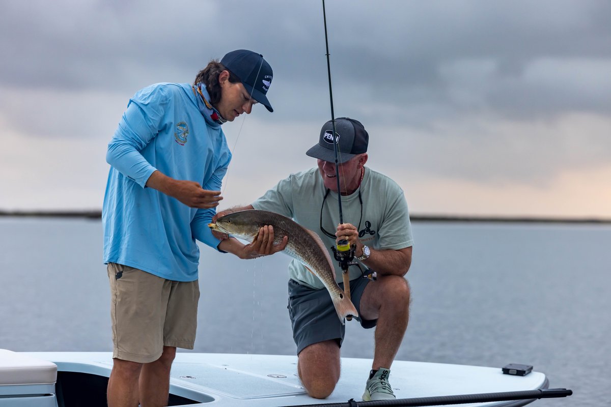 TXInsiderFishReport tweet media