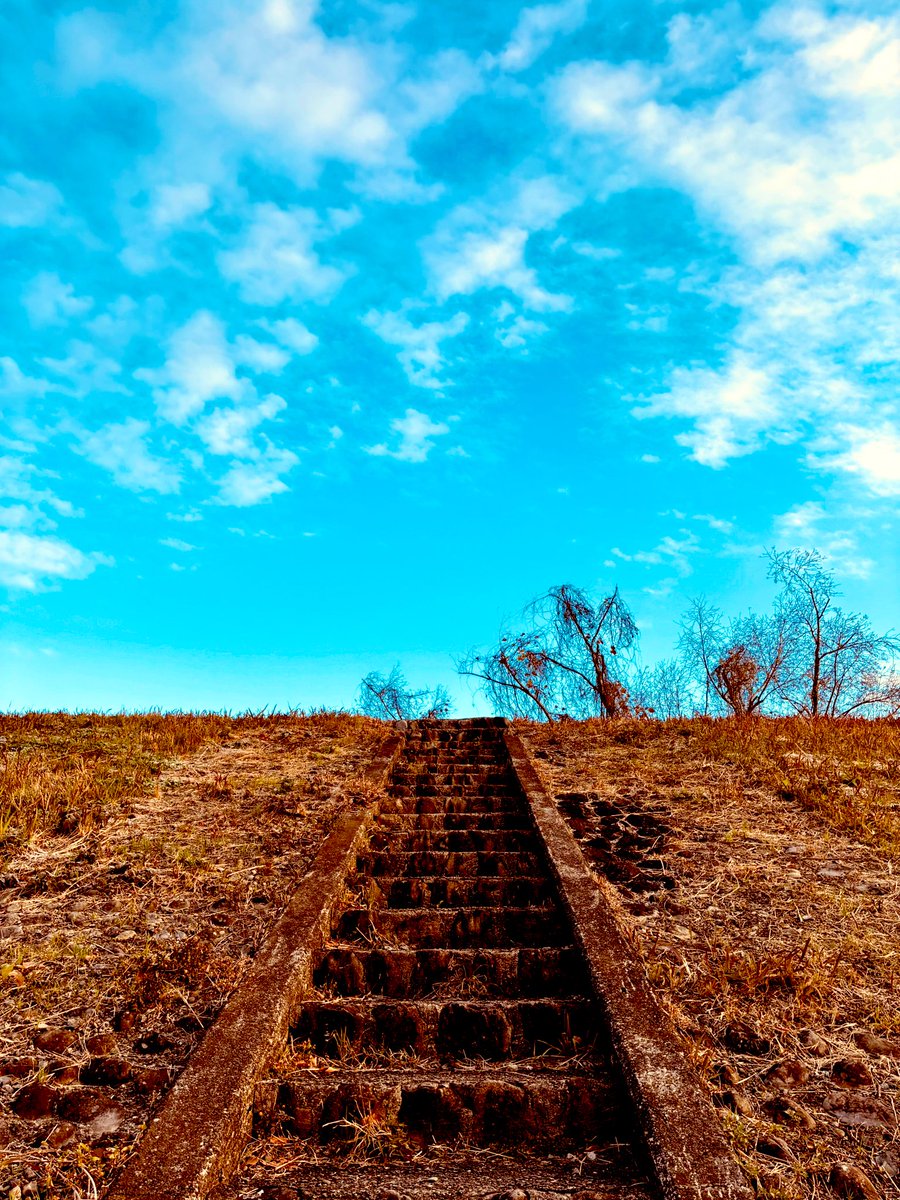 Good morning🦋
Have a wonderful day

おはようございます
　　I took photo
　　　　　撮影　童晶