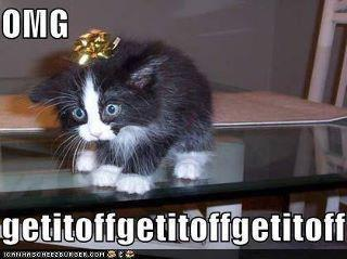 NettersNetwork's tweet image. 