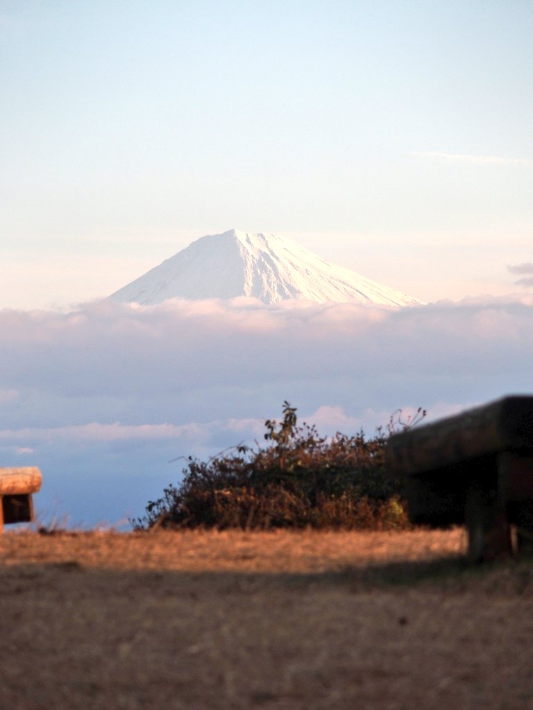 haru38060537's tweet image. #満観峰より