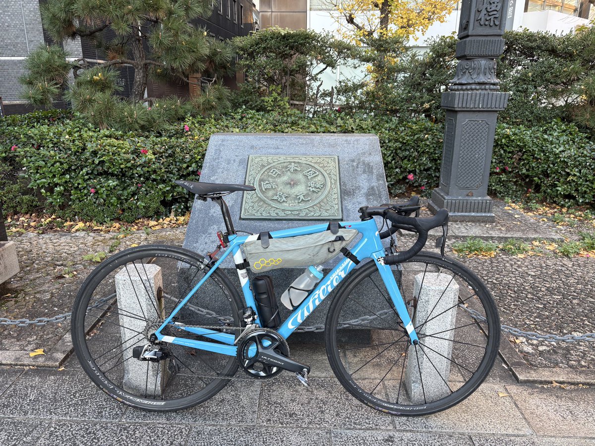 カピバラ (@CapybaraLIZED) / Posts / X