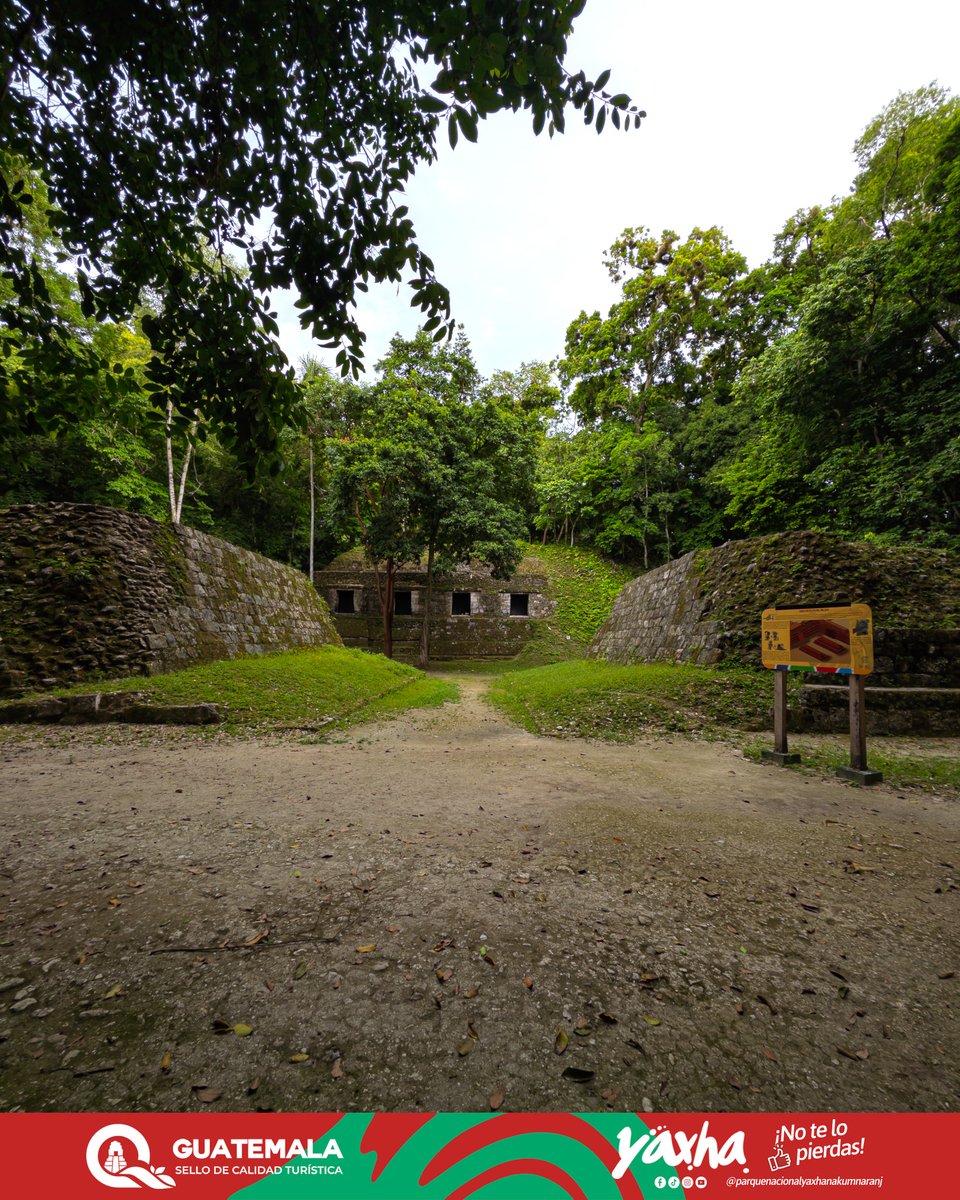 ¿Te imaginas al Rey jugando para resolver un conflicto? 👑⚽

En el Juego de Pelota 1, el deporte se mezclaba con la política. El gobernante participaba en duelos intensos para solucionar diferencias con ciudades rivales.

#TurismoGT #Yaxhá #NoTeLoPierdas #YaxhaNakumNaranjo