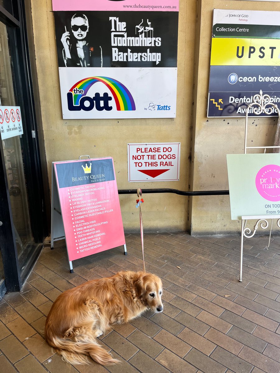 Uncategorized – A diary of moving from East London to Montana, image size:900x1200