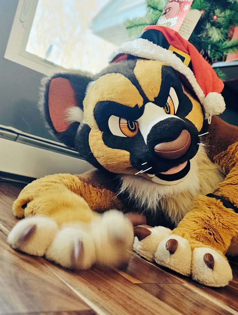 ☆ kiral☆ tweet media