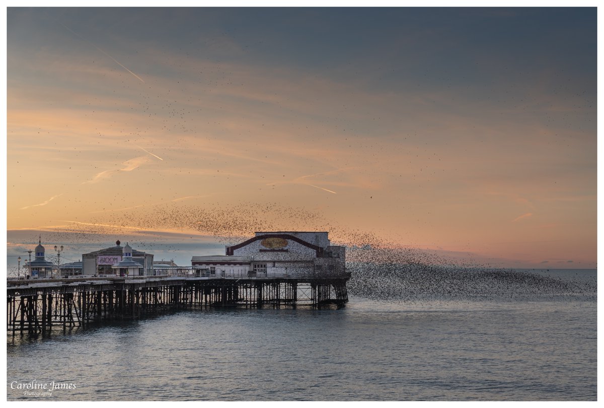 Caroline James Photography tweet media