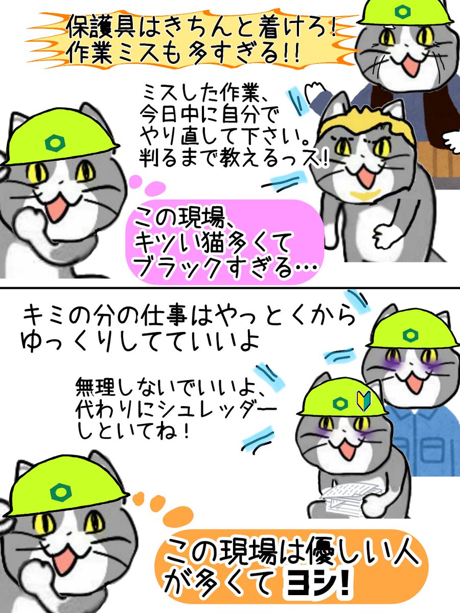 しかられたことのない猫 #現場猫