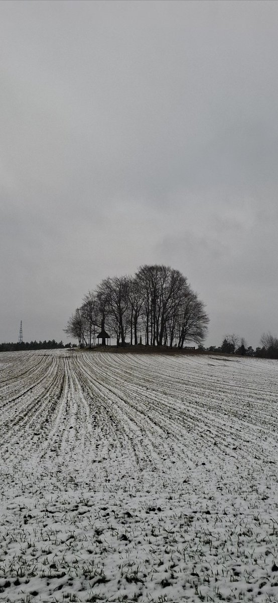 3️⃣6️⃣1️⃣