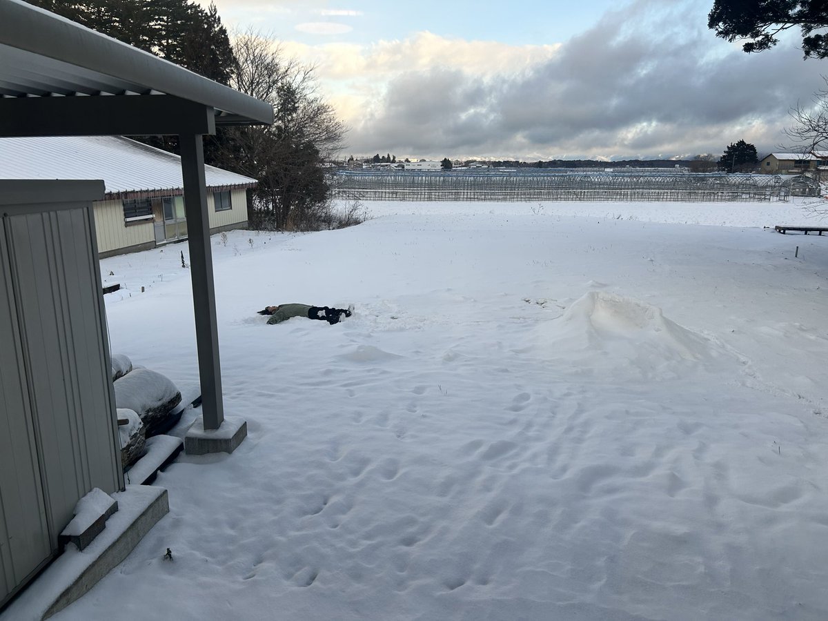 aorieroika's tweet photo. 朝7:00
-4.2°

そんなに楽しいならよかった https://t.co/5rW0CUFgqn