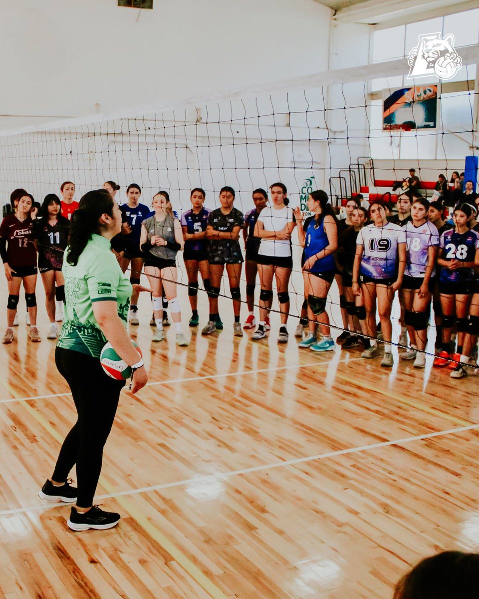 Abejas de León tweet media